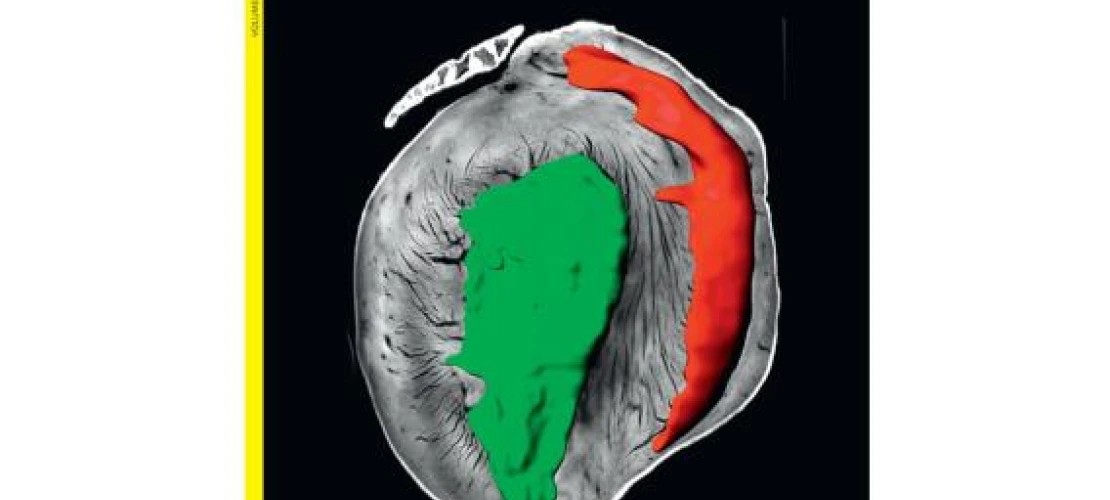 sadayappan lab image