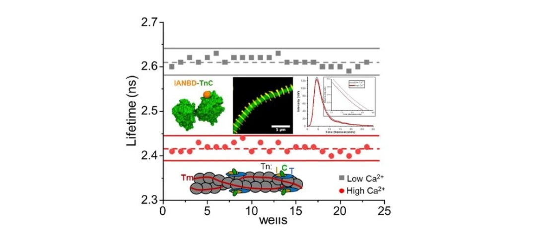 colson lab image 2
