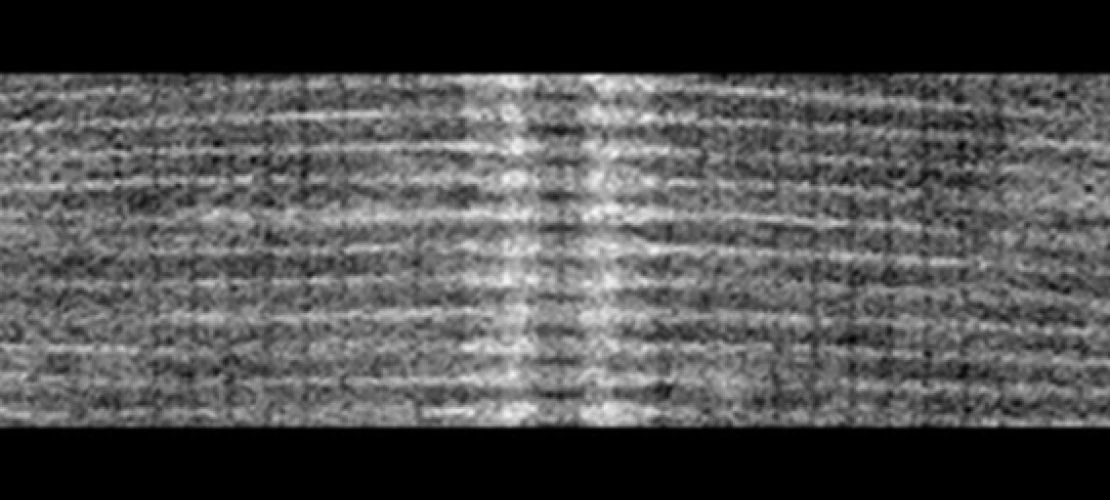 harris lab image