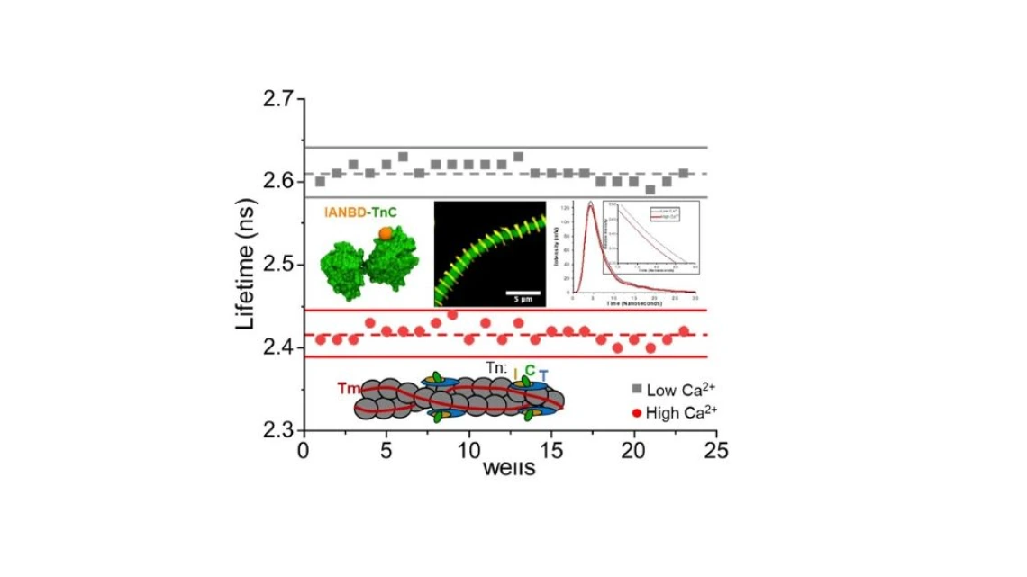 colson lab image 2